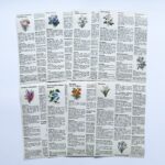 Pack de Colagens Dicionário Botânico A5 c/ 16 Papéis Decorados